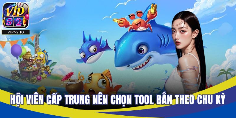 Hội viên cấp trung nên chọn tool bắn theo chu kỳ
