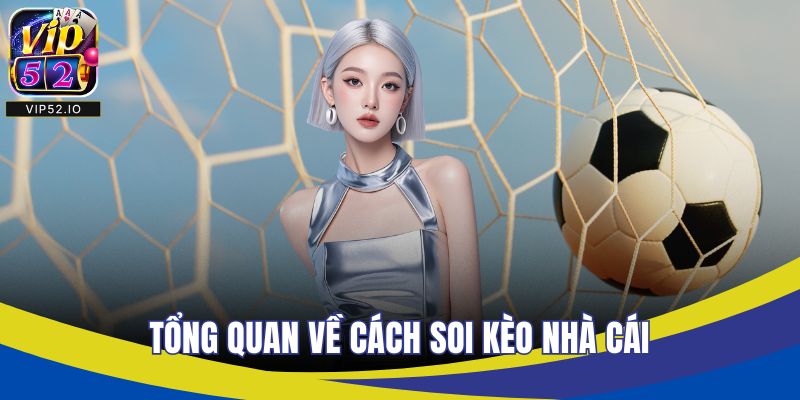 Tổng quan về cách soi kèo nhà cái